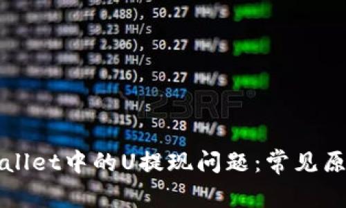 如何解决tpWallet中的U提现问题：常见原因及解决方案
