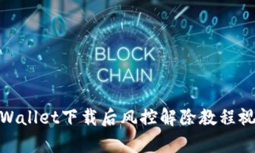 tpWallet下载后风控解除教程视频