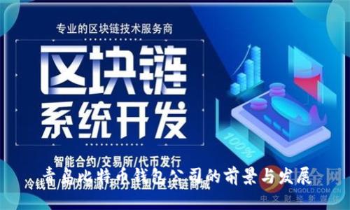 青岛比特币钱包公司的前景与发展