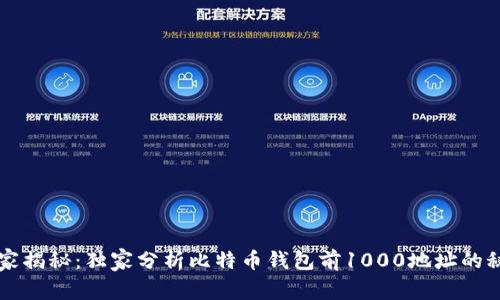 专家揭秘：独家分析比特币钱包前1000地址的秘诀