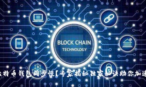 比特币钱包同步慢？专家揭秘独家秘诀助你加速！