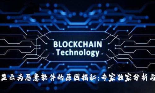 tpWallet显示为恶意软件的原因揭秘：专家独家分析与应对秘诀