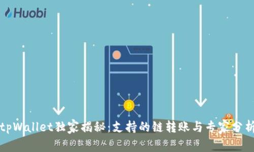 tpWallet独家揭秘：支持的链转账与专家分析