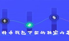 专家揭秘：比特币钱包下