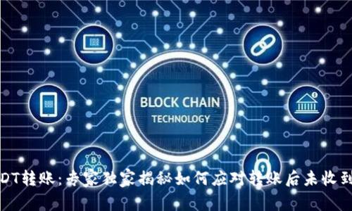 冷钱包USDT转账：专家独家揭秘如何应对转账后未收到款的困境