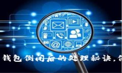 专家揭秘：比特币钱包倒