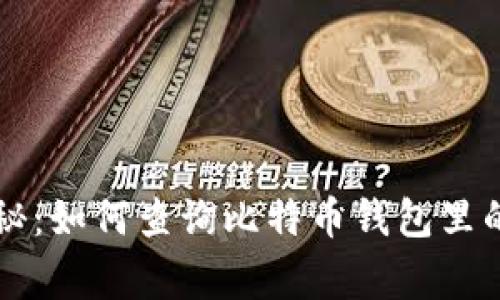 专家独家揭秘：如何查询比特币钱包里的地址的秘诀