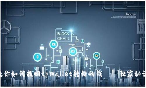 专家教你如何找回tpWallet转错的钱——独家秘诀揭秘！