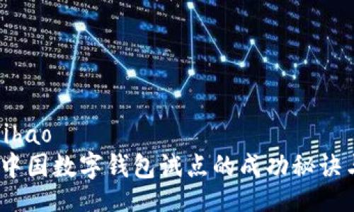 feihao/feihao
独家揭秘：中国数字钱包试点的成功秘诀与未来发展