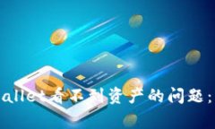 如何解决tpWallet看不到资产