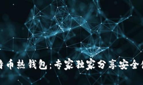 揭秘比特币热钱包：专家独家分享安全使用秘诀
