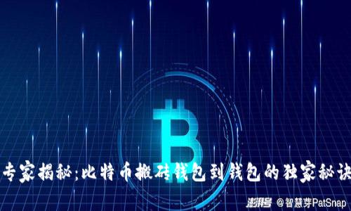 专家揭秘：比特币搬砖钱包到钱包的独家秘诀