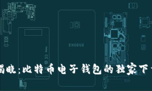 专家揭晓：比特币电子钱包的独家下载秘诀