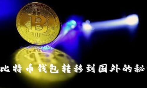 专家独家揭秘：比特币钱包转移到国外的秘诀，安全又省心！