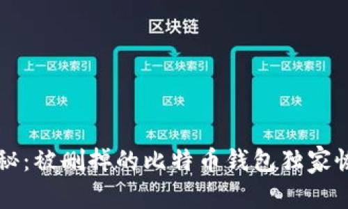 专家揭秘：被删掉的比特币钱包独家恢复秘诀