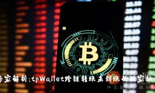 专家解析：tpWallet跨链转账未到账的独家秘诀