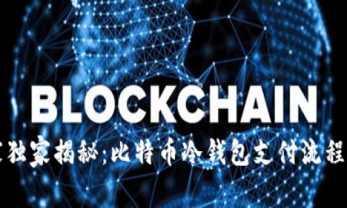 专家独家揭秘：比特币冷钱包支付流程秘诀