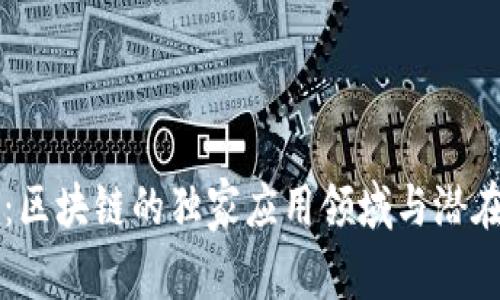 专家揭秘：区块链的独家应用领域与潜在价值秘诀