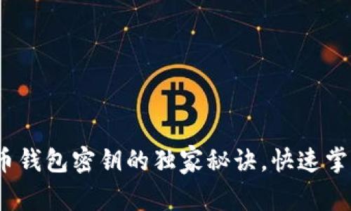 专家揭秘：比特币钱包密钥的独家秘诀，快速掌握安全管理技巧