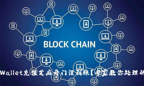 ### tpWallet充值芝麻开门没到账？专家教你处理的独家秘诀