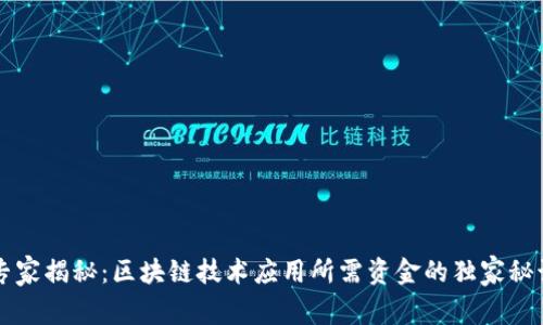 专家揭秘：区块链技术应用所需资金的独家秘诀