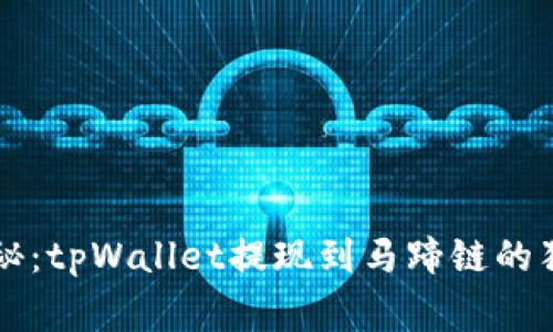 专家揭秘：tpWallet提现到马蹄链的独家秘诀