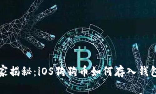 专家独家揭秘：iOS狗狗币如何存入钱包的秘诀