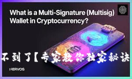 tpWallet助记词找不到了？专家教你独家秘诀重拾数字资产安全！