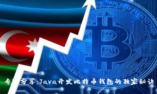 专家分享：Java开发比特币钱包的独家秘诀
