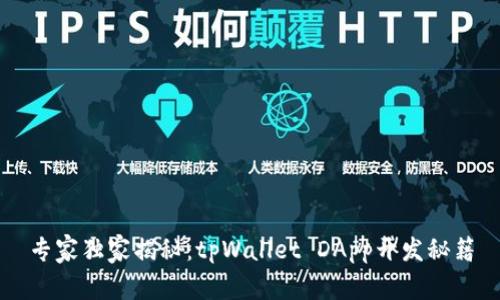 专家独家揭秘：tpWallet DApp开发秘籍