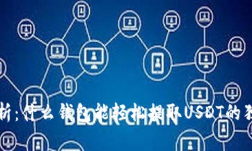 专家解析：什么钱包能轻松提取USDT的独家秘诀