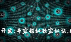 区块链云钱包开发：专家