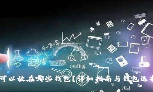 USDT可以放在哪些钱包？详细指南与钱包选择技巧