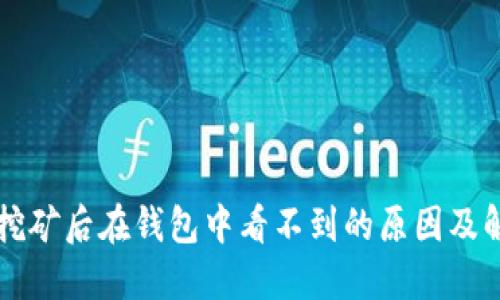 以太坊挖矿后在钱包中看不到的原因及解决方案