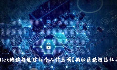 tpWallet地址能追踪到个人信息吗？揭秘区块链隐私与安全