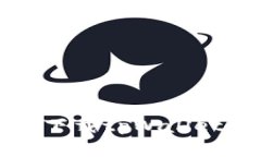 如何在苹果设备上下载t