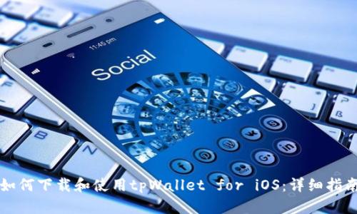如何下载和使用tpWallet for iOS：详细指南