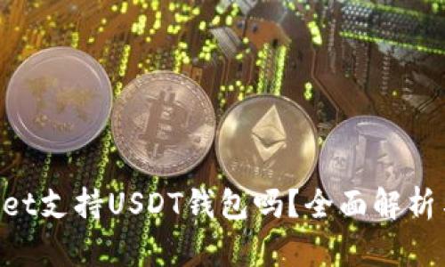 TokenPocket支持USDT钱包吗？全面解析与用户指南