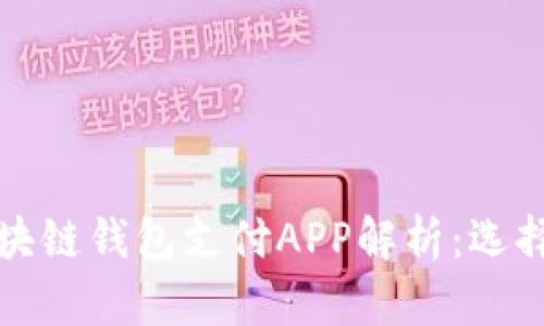 最全面的区块链钱包支付APP解析：选择与使用指南