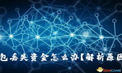 tpWallet钱包丢失资金怎么办？解析原因与解决方案