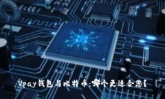 Vpay钱包与比特币：哪个更