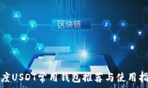   
印度USDT常用钱包推荐与使用指南