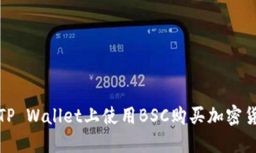 如何在TP Wallet上使用BSC购买加密货币详解