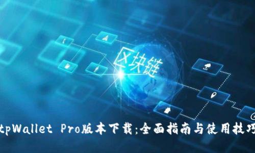 tpWallet Pro版本下载：全面指南与使用技巧