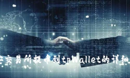 币安交易所提币到tpWallet的详细指南