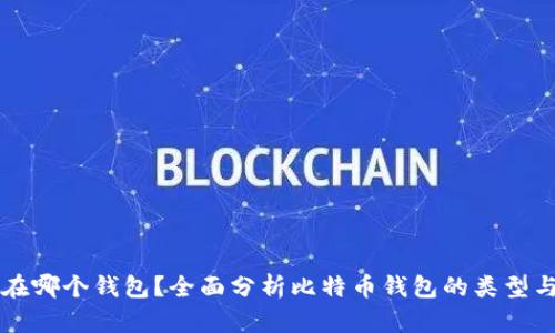 比特币存在哪个钱包？全面分析比特币钱包的类型与选择指南