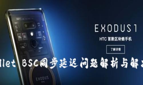 tpWallet BSC同步延迟问题解析与解决方案