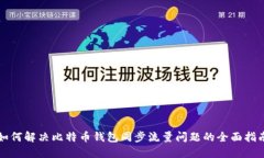 如何解决比特币钱包同步流量问题的全面指南