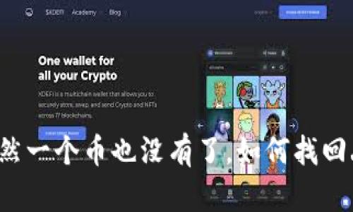 tpWallet突然一个币也没有了，如何找回丢失的资产？