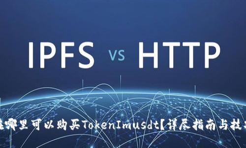 在哪里可以购买TokenImusdt？详尽指南与技巧